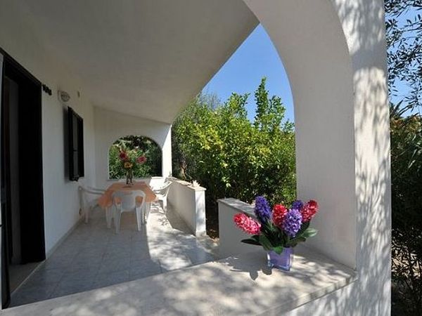 Sea Garden Club - foto 18715.jpg