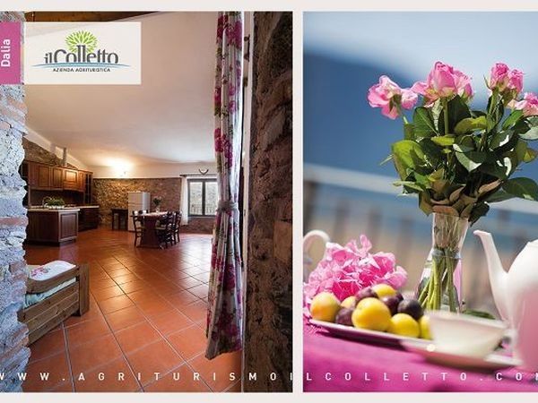 Il Colletto Azienda Agrituristica - foto 18876.jpg