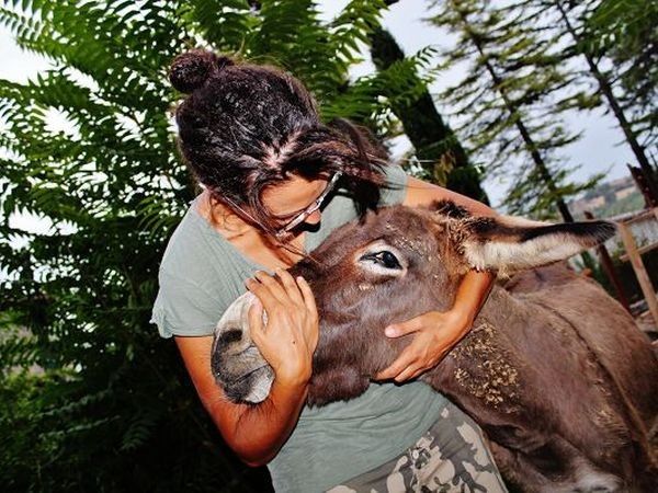 La Fattoria di Mielisa - foto 18946.jpg