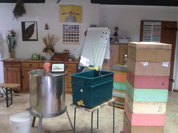 La Fattoria di Mielisa - foto 18954.jpg