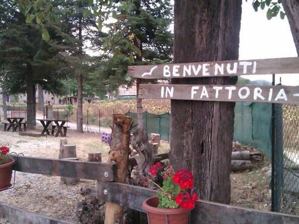 La Fattoria di Mielisa - foto 18956.jpg