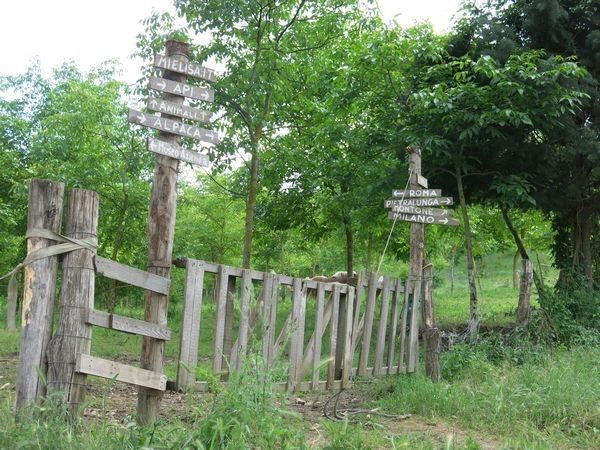 La Fattoria di Mielisa - foto 18960.jpg