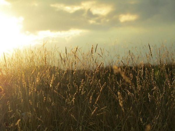 Hotel Felycita - foto 19085.jpg