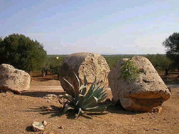 MCN VACANZE  Mare Cultura Natura - foto 19130.jpg