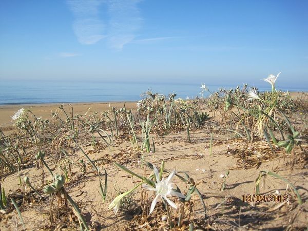 MCN VACANZE  Mare Cultura Natura - foto 19132.jpg
