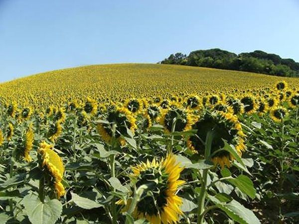 Hotel Felycita - foto 19168.jpg