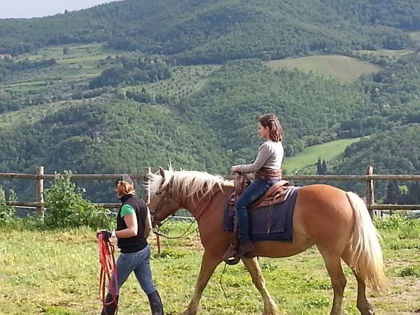 Agriturismo il Giardino - foto 19399.jpg