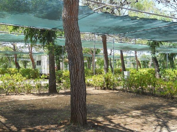 Grotta dell´Acqua - foto 19525.jpg