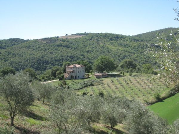 WelcomeService - foto 19882.jpg