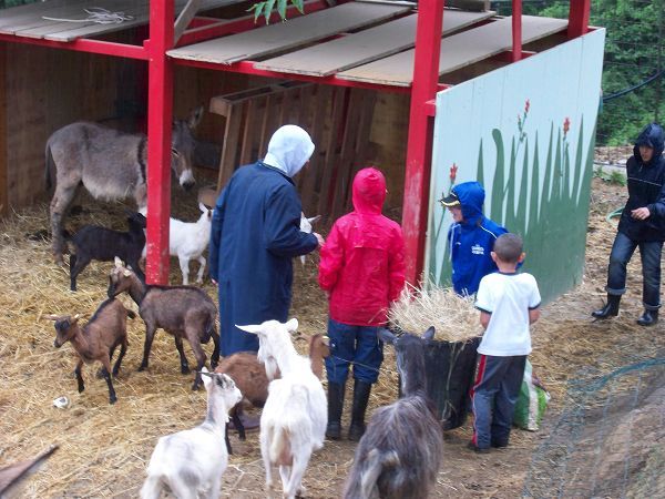 Oasi Agrituristica Baugiano - foto 19931.jpg