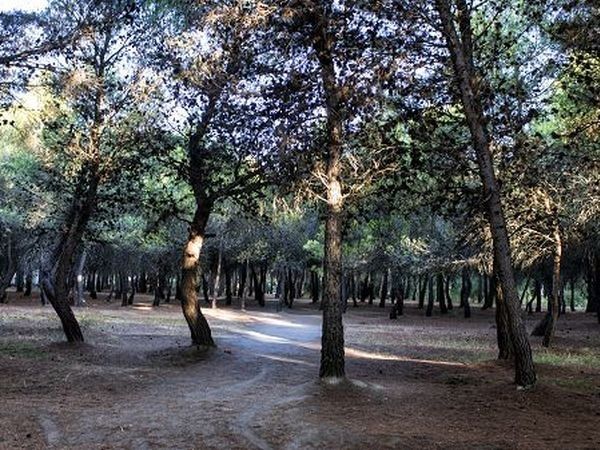 Villaggio Giardini d´Oriente - foto 20336.jpg