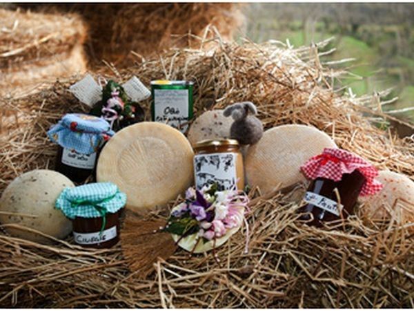 Az Agr. Pietra Serena B&B E YURTA RELAX - foto 20355.jpg