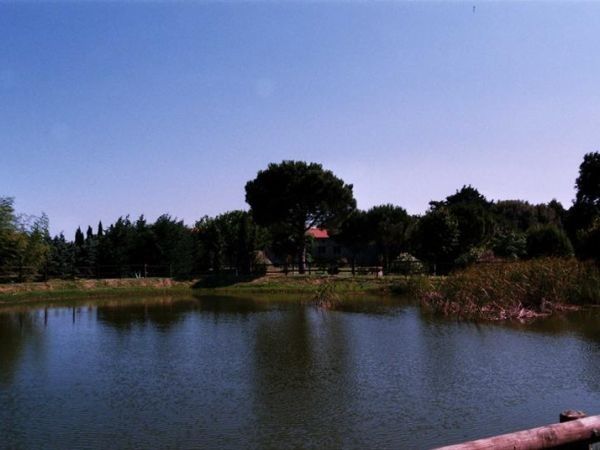 Agriturismo La Pieve - foto 20743.jpg