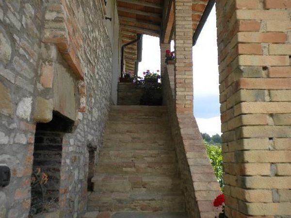 Fattoria di Rigone - foto 20821.jpg