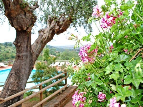 Madonna del Poggio - foto 20834.jpg