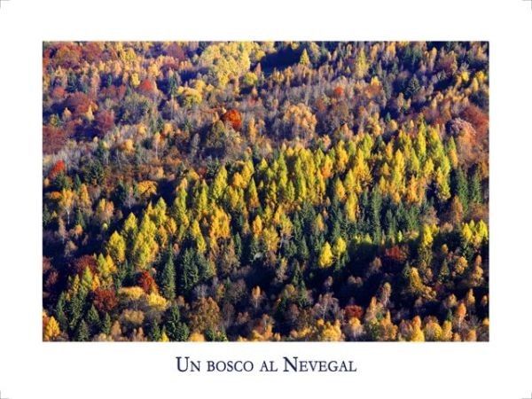 Park Camping Nevegal - foto 20910.jpg