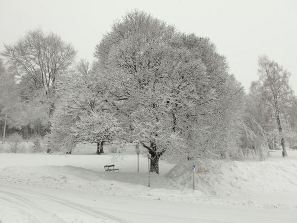 Park Camping Nevegal - foto 20924.jpg