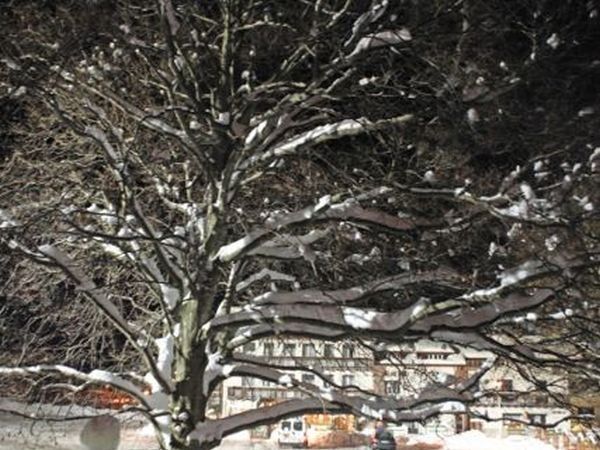 Park Camping Nevegal - foto 20926.jpg