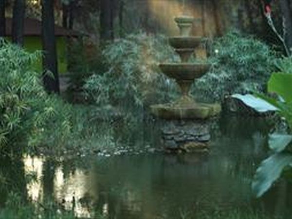 Club Nature Village  - foto 20935.jpg