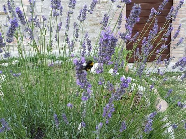 Agriturismo Domus Santa Croce - foto 20971.jpg