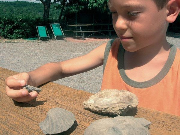 Bio agriturismo Orgiaglia - foto 21217.jpg