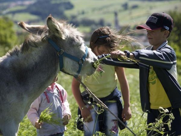 Residence Adamello Resort - foto 21246.jpg
