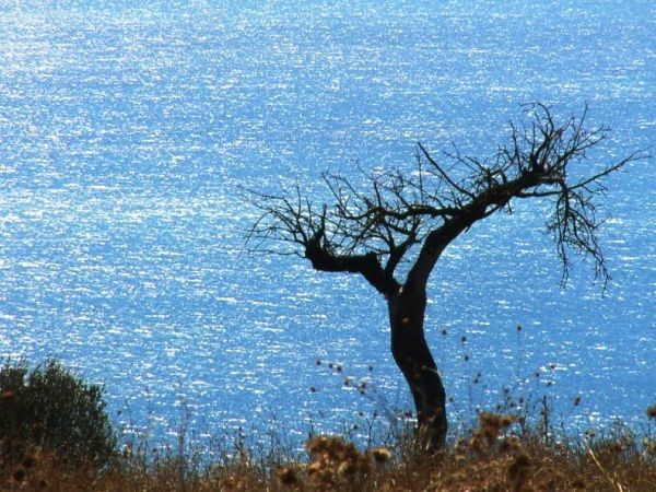 Agriturismo Grassetti - foto 21483.jpg