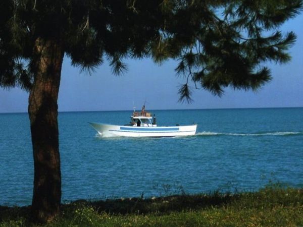 Agriturismo Grassetti - foto 21485.jpg