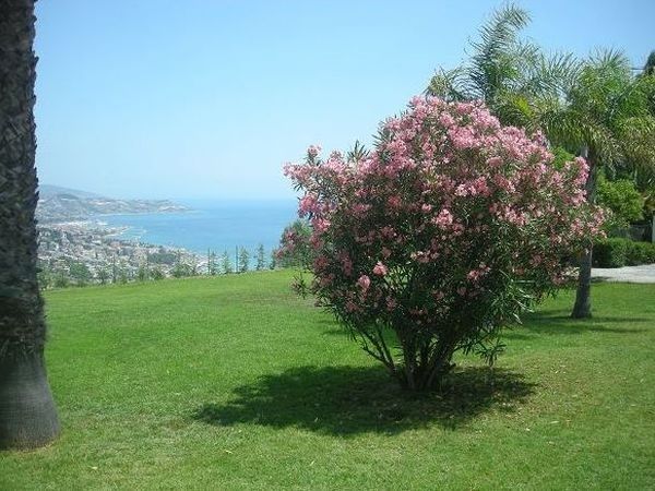 Villa Profumo dei Fiori - foto 21891.jpg