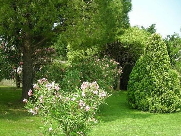 Villa Profumo dei Fiori - foto 21893.jpg