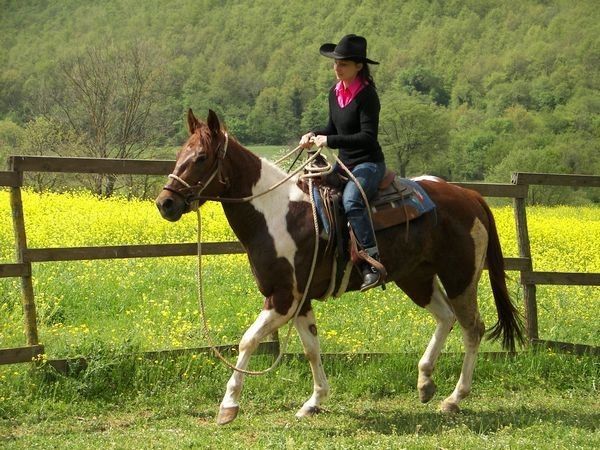 Az Agr. Pietra Serena B&B E YURTA RELAX - foto 22000.jpg