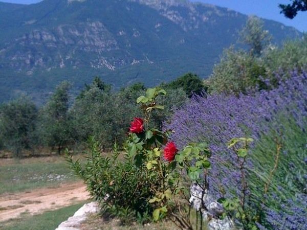 Antica Tenuta - foto 22138.jpg