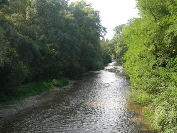 Antica Tenuta - foto 22140.jpg