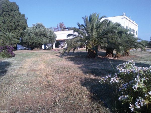 Masseria La Grave - foto 22148.jpg