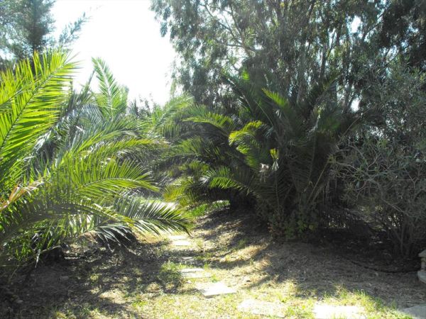 Masseria La Grave - foto 22161.jpg