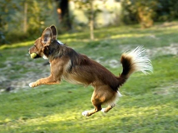 B&B le Rondini - foto 7699.jpg