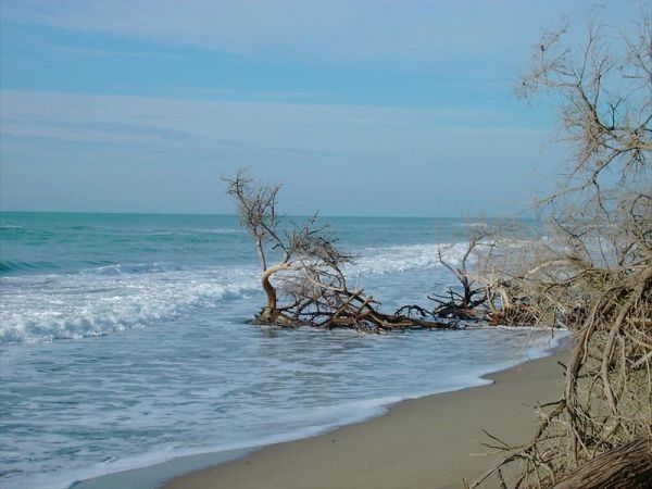 Agriturismo Montalto - foto 22319.jpg