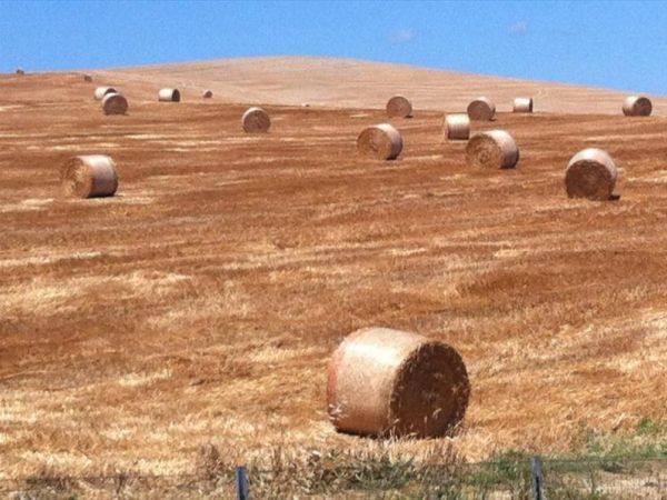 Agriturismo SS Annunziata - foto 22329.jpg