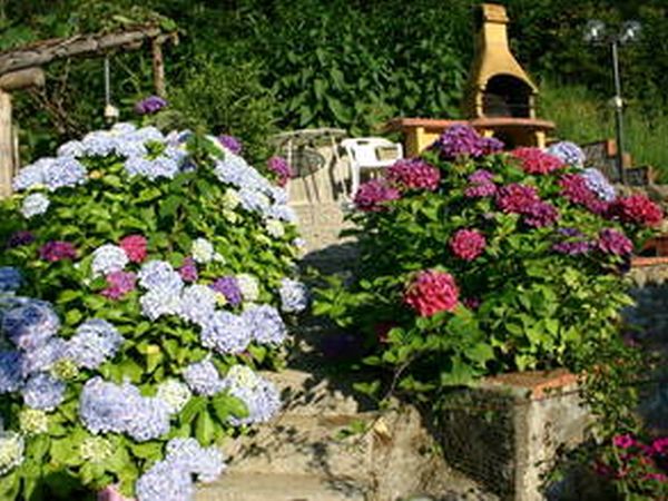 Agriturismo Le Fontanacce - foto 22352.jpg