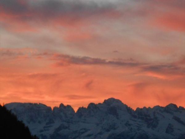 B&B IL BOSCO INCANTATO - foto 22733.jpg