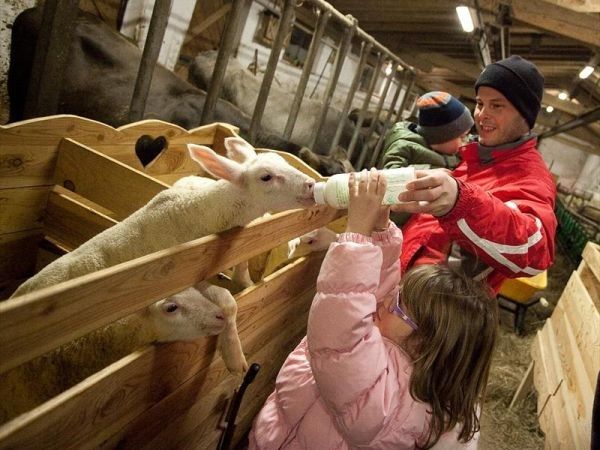 B&B IL BOSCO INCANTATO - foto 22736.jpg