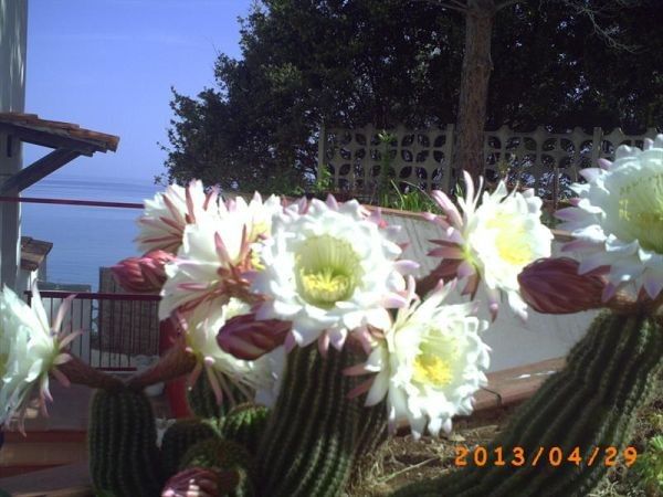 Vacanze Rodiane - foto 22919.jpg