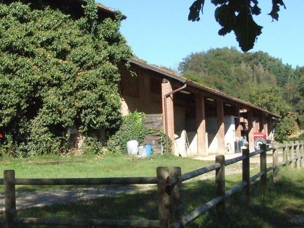 Agriturismo San Michele - foto 6182.jpg