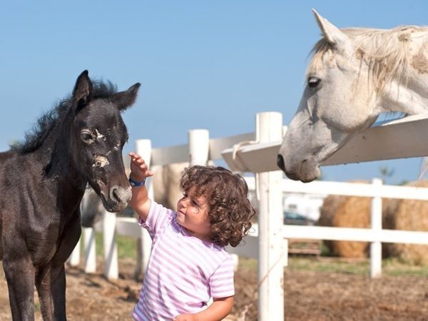 Barricata Holiday Village - foto 23581.jpg
