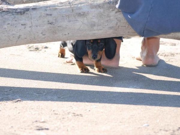 Barricata Holiday Village - foto 23582.jpg