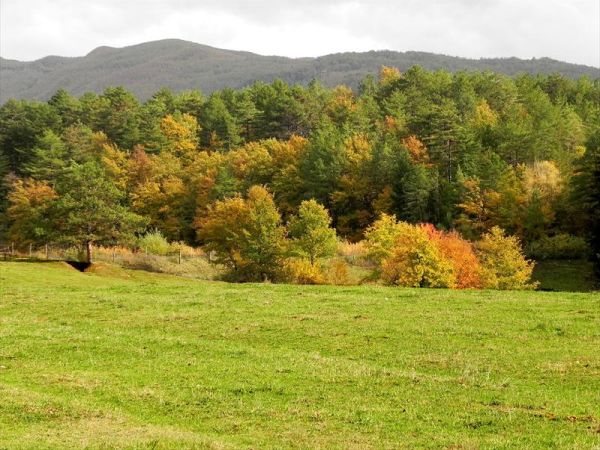 Fattoria di Marena - foto 23625.jpg