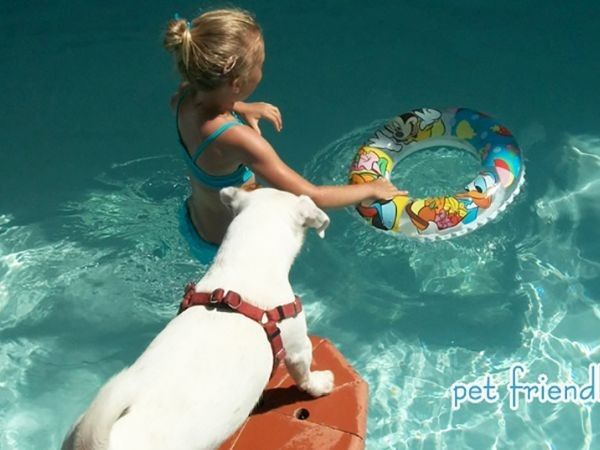 BiondiHotels Cesenatico - foto 24062.jpg