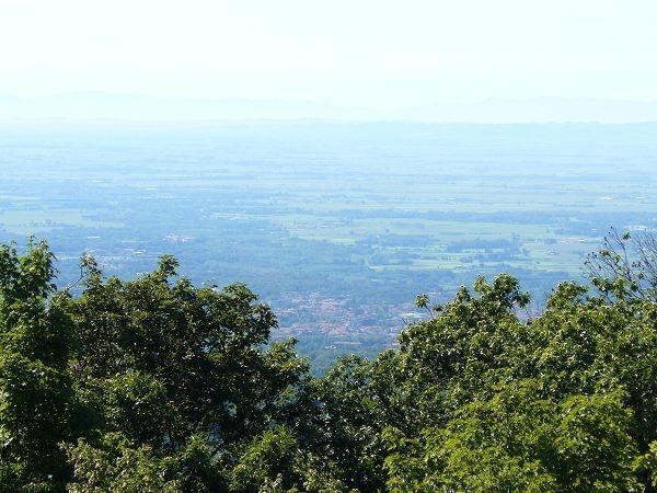 Castagneto - foto 6411.jpg