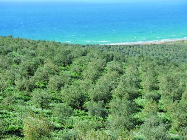 Villa Conca Marco - foto 24277.jpg