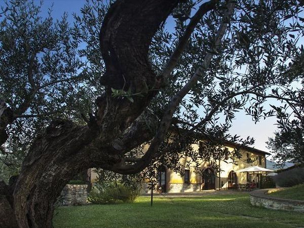 Agriturismo Casale degli Olmi - foto 24293.jpg